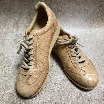 quattro gatti 크로커다일 스니커즈