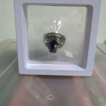 가면라이더 갓챠드 반지 (파랑)