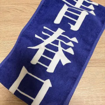 아라시 신세이 학교 리더즈 청춘 일본 대표 타월