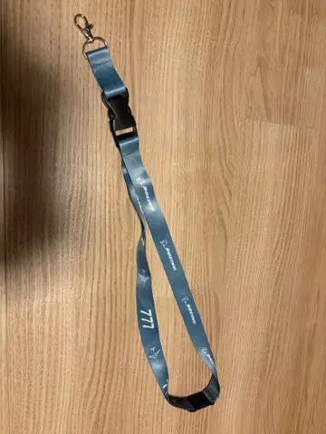 Boeing 777 스트랩 그레이