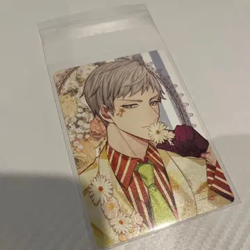 큐피파라 쉘비 춘풍 마르쉐 펄 컬렉션 카드