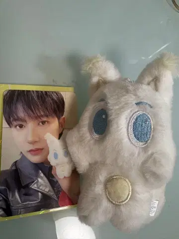 NCTDREAM 런쥔 인절미 트레이딩 카드 인형 세트