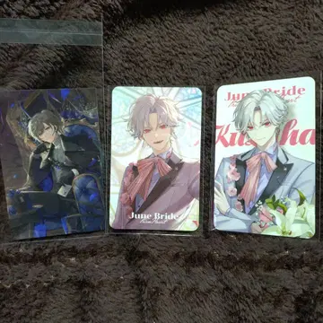 니지산지 노스탤지어 컬렉션 2025 준브라