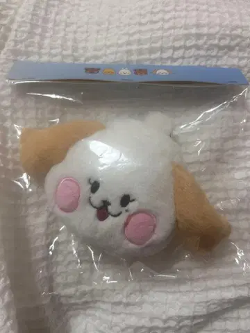 ONEUS 시온 파우치