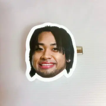 드래곤 게이트 드라폰 얼굴 클립 표범