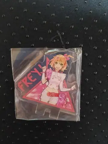 마크로스 발키리 아크릴 보틀 프레이아