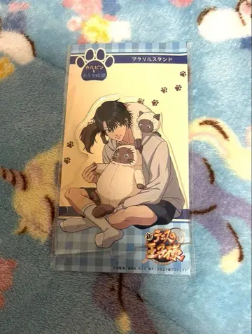 신 테니스의 왕자님 에치젠 료마 카르핀과 집에서의 시간 아크릴 스탠드