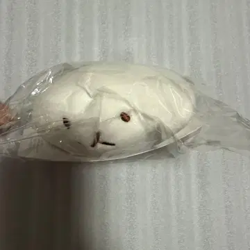 EXO 백현 트레기 봉제 인형