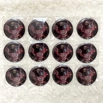 이레이스 리우군 C.O.G 캔뱃지 x 12