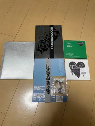 세븐틴 소비기한 앨범