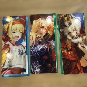 Fate/Grand Order 최종 최종 재림전 네로 드라코