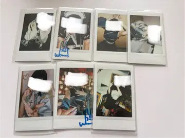 지메이 여명 상어 함정 폴라로이드 7장