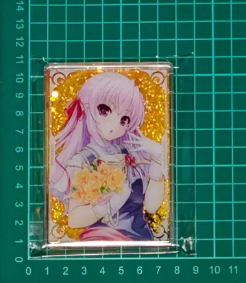 새벽보다 푸른 20th 유사장 아크릴 블록 에스테