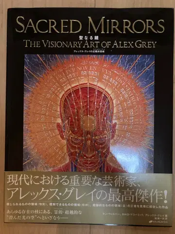 알렉스 그레이 성스러운 거울