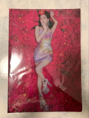 BLACKPINK 클리어 파일 지수