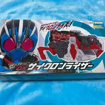 DX 사이클론 라이저