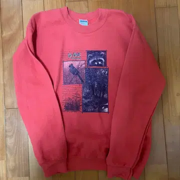 GILDAN 업 노스 미시간 트레이닝복