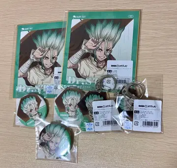 Dr.STONE 레이니데이 이시가미 센쿠 세트