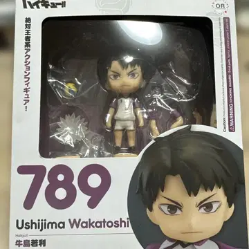 우시지마 와카토시 넨도로이드 하이큐