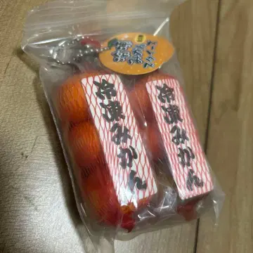 냉동 감귤 스퀴즈 키링 스트랩 미니어처 2종