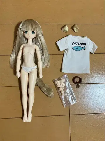 우리 고양이가 여자아이로 귀여워 1/6 키나코 인형 시사이드 피치