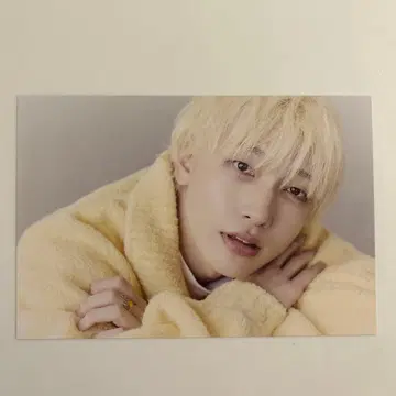 팬더드래곤 요우타 엽서