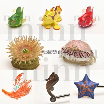 [ 미개봉 컴플리트 ] NTC 바닷가 생물 네이처 테크니컬러 가챠