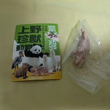 [ 미개봉 새상품 ] 카이요도 캡슐Q 진수동물원 하이다카데바네즈미 피규어