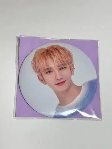 SEVENTEEN 조슈아 캔 배지 CARATLAND