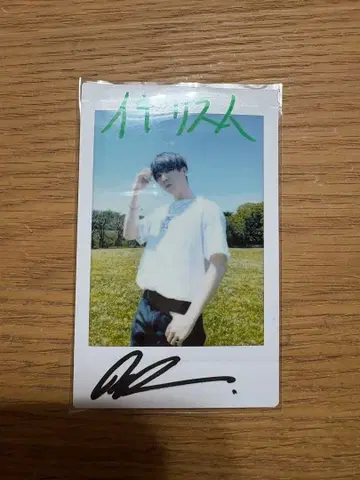 니시코리 친필 사인 폴라로이드 마크 영국인