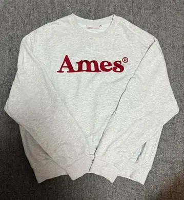 Ames 맨투맨 M 사이즈 그레이