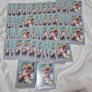 로노 파샤코레 아쿠네코