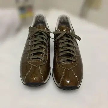 패트릭 SANGER-E.S ( 에나멜슈링크)