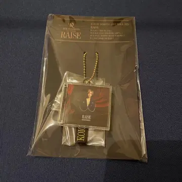 KOICHI DOMOTO RAISE CD 참 도모토 코이치 DOMO