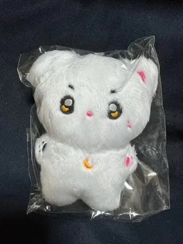 ASTRO 문빈 봉제 인형 10cm 마스터