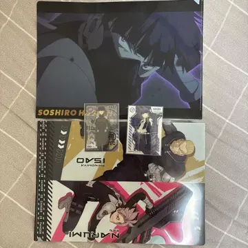 괴수 8호 호시나 나루미 겐