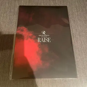즉시 구매 OK 미개봉 새상품 도모토 코이치 RAISE 팜플렛