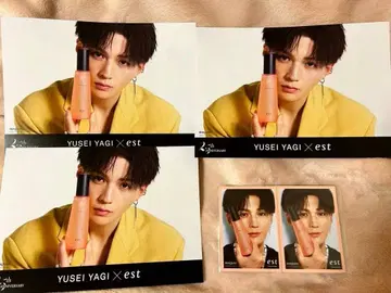 야기 유세이 트레이딩 카드 est 2장 플라이어 3장 세트