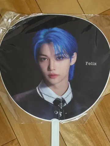 StrayKids 스키즈 felix 부채 social path