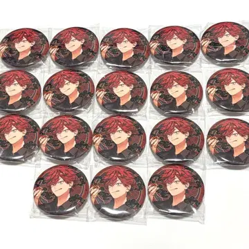 극락가 캔뱃지 극근점 아르마 18점