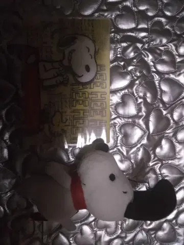 FANTARATION 쪼꼬링 스누피 & 엽서 세트