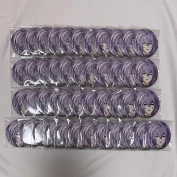 니지산지 호시미치 쇼 1st Anniversary 캔뱃지 45개