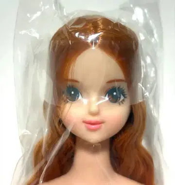 리카짱 캐슬 제니 프렌드 오타노시미 인형 사야카