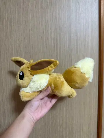 이브이 봉제 인형 약 15cm 정도