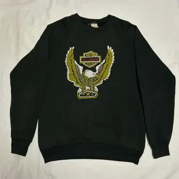 80s 빈티지 USA제 할리 맨투맨 블랙 후르츠바디 발포