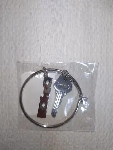 온라인 완판 투어 한정판 Da-ICE 키링