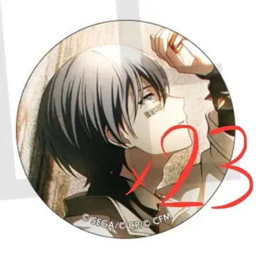 프로세카 28B 겨울 토야 캔뱃지