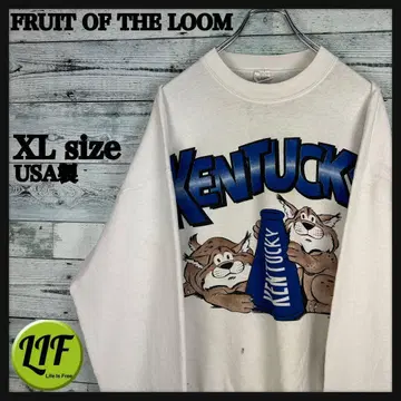 프룻 오브 더 룸 USA 90s 켄터키 맨투맨 XL 4856