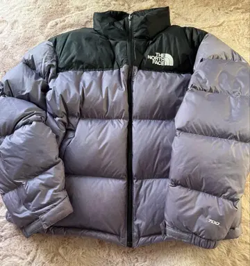 THE NORTH FACE 눕시 다운 자켓