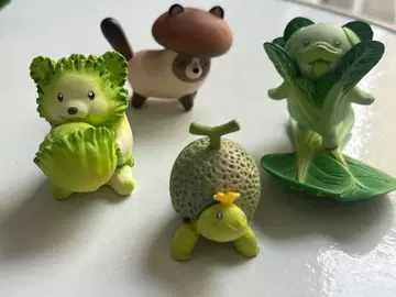 채소 요정님 세트